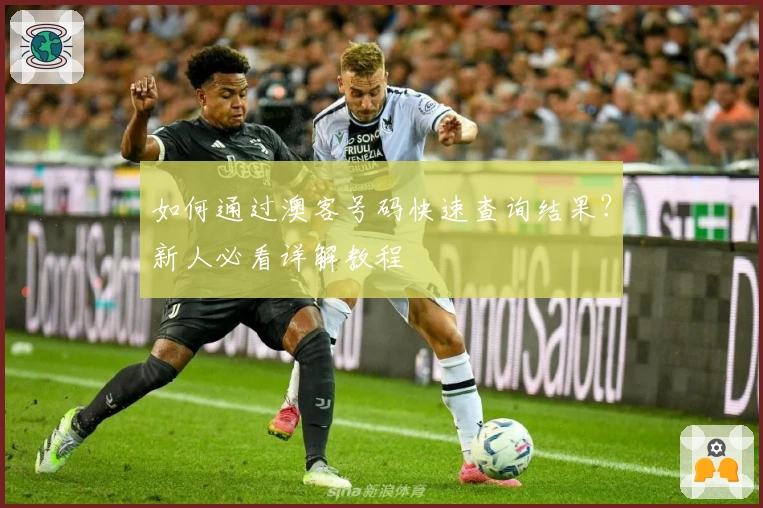 如何通过澳客号码快速查询结果？新人必看详解教程