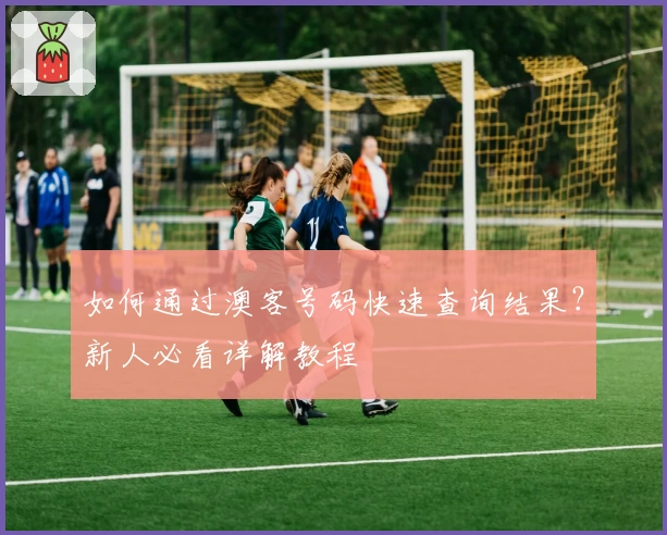 如何通过澳客号码快速查询结果？新人必看详解教程